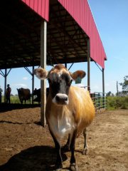 41111_853906422650_82108_n